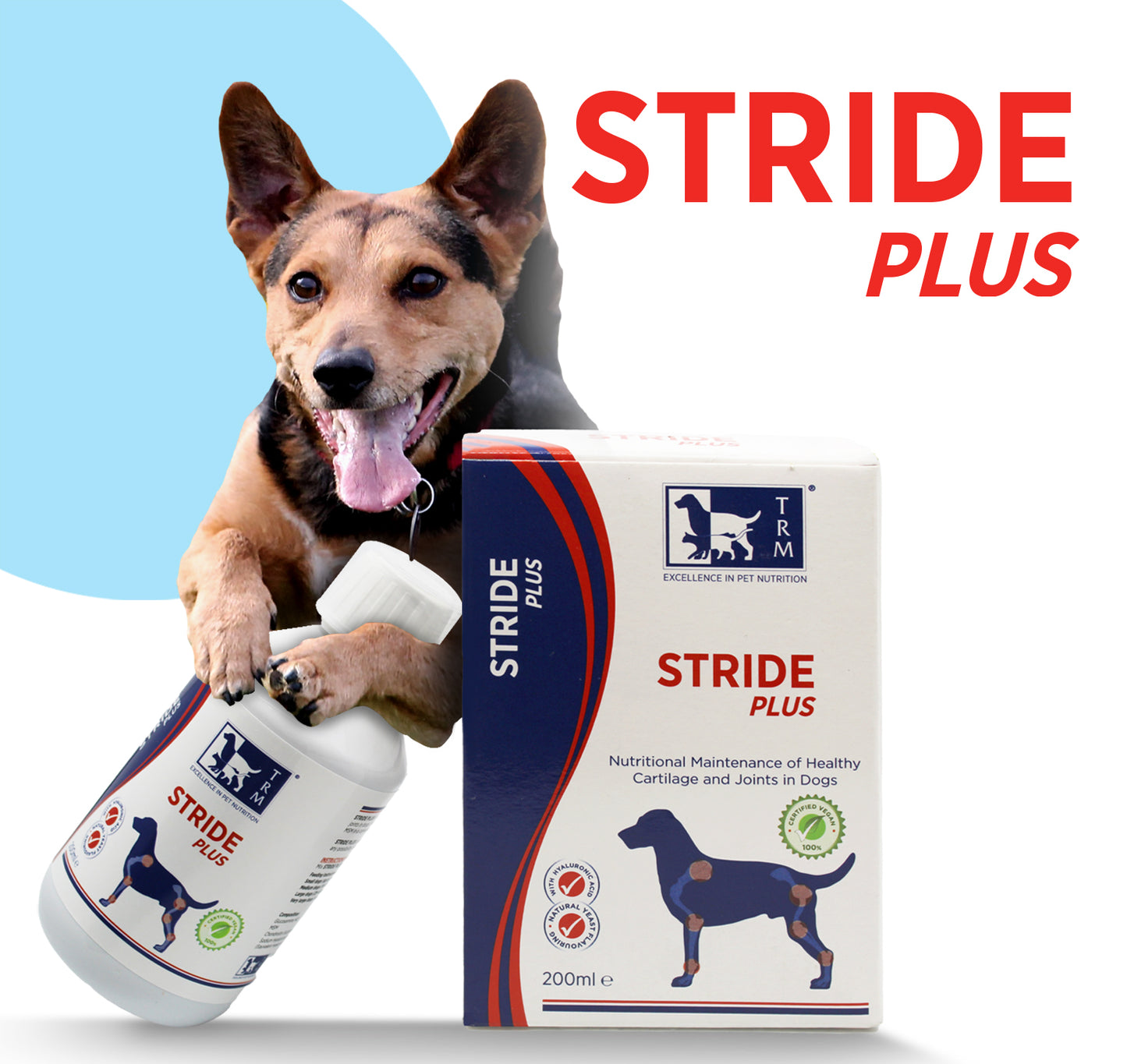 Stride Plus Joint Supplement For Dogs & Cats, 200ml