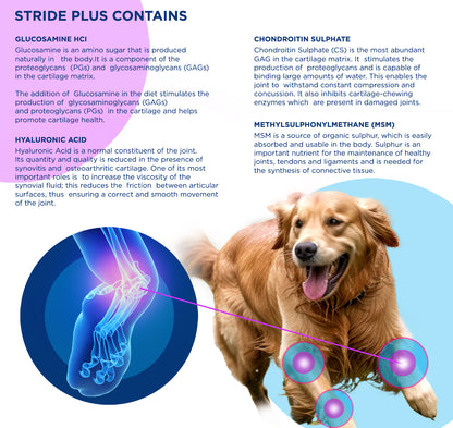 Stride Plus Joint Supplement For Dogs & Cats, 200ml