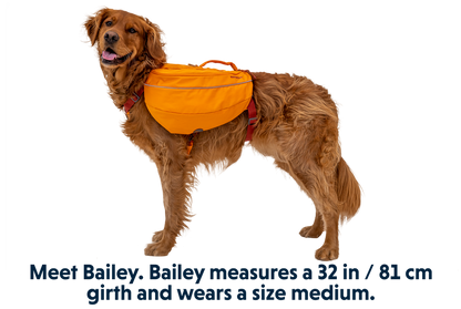 Ruffwear - Approach Pack for dogs -  Campfire Orange