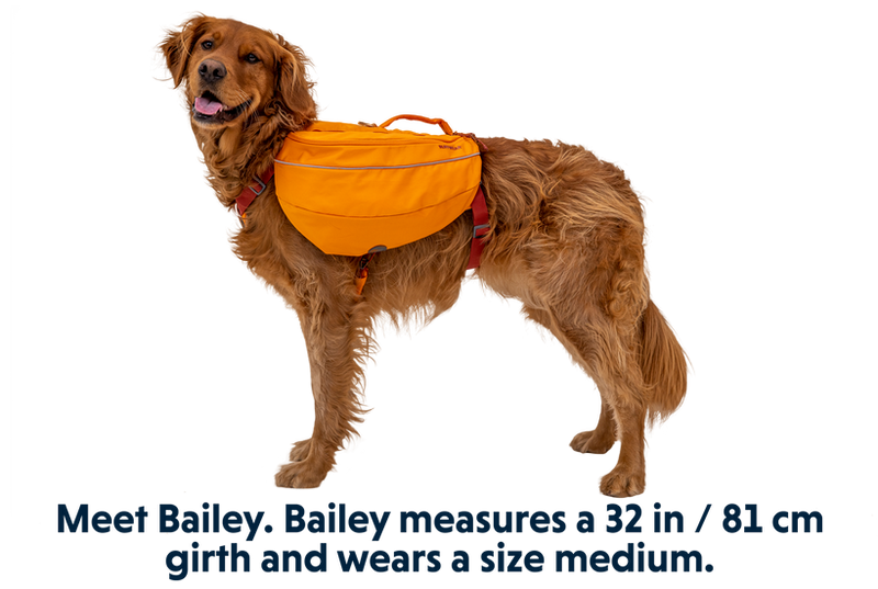 Ruffwear - Approach Pack for dogs -  Campfire Orange