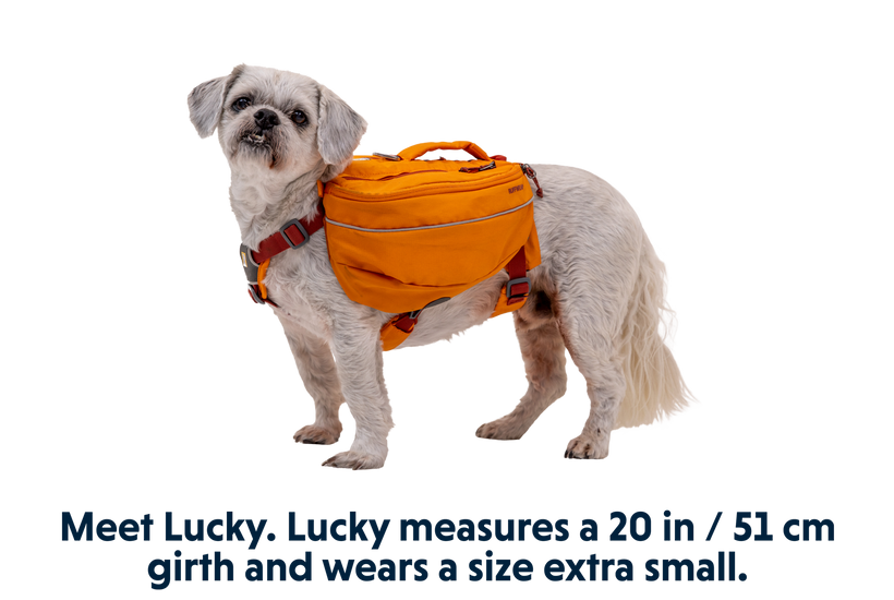 Ruffwear - Approach Pack for dogs -  Campfire Orange