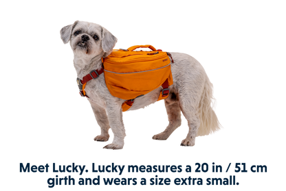 Ruffwear - Approach Pack for dogs -  Campfire Orange