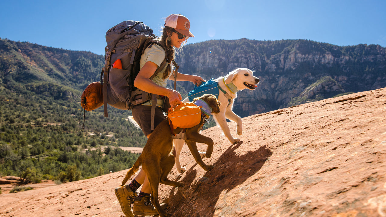 Ruffwear - Approach Pack for dogs -  Campfire Orange