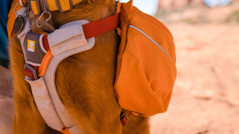 Ruffwear - Approach Pack for dogs -  Campfire Orange