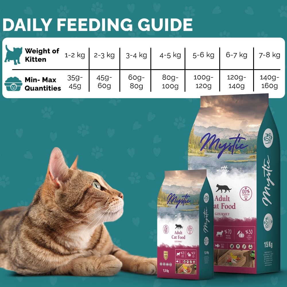 Mystic Adult Gourmet Dry Cat Food