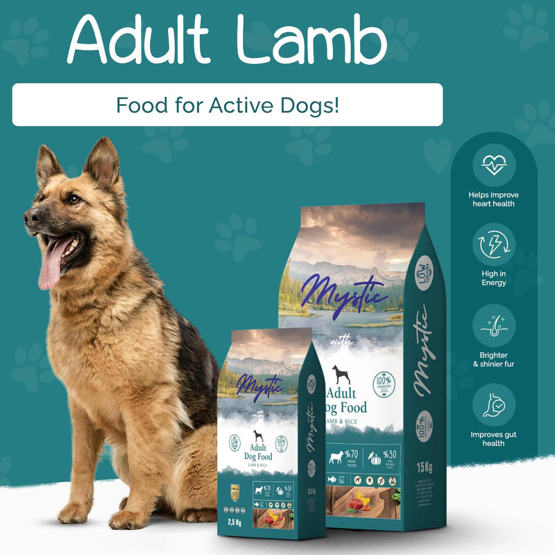 Mystic Adult Lamb and Rice Dry Dog Food