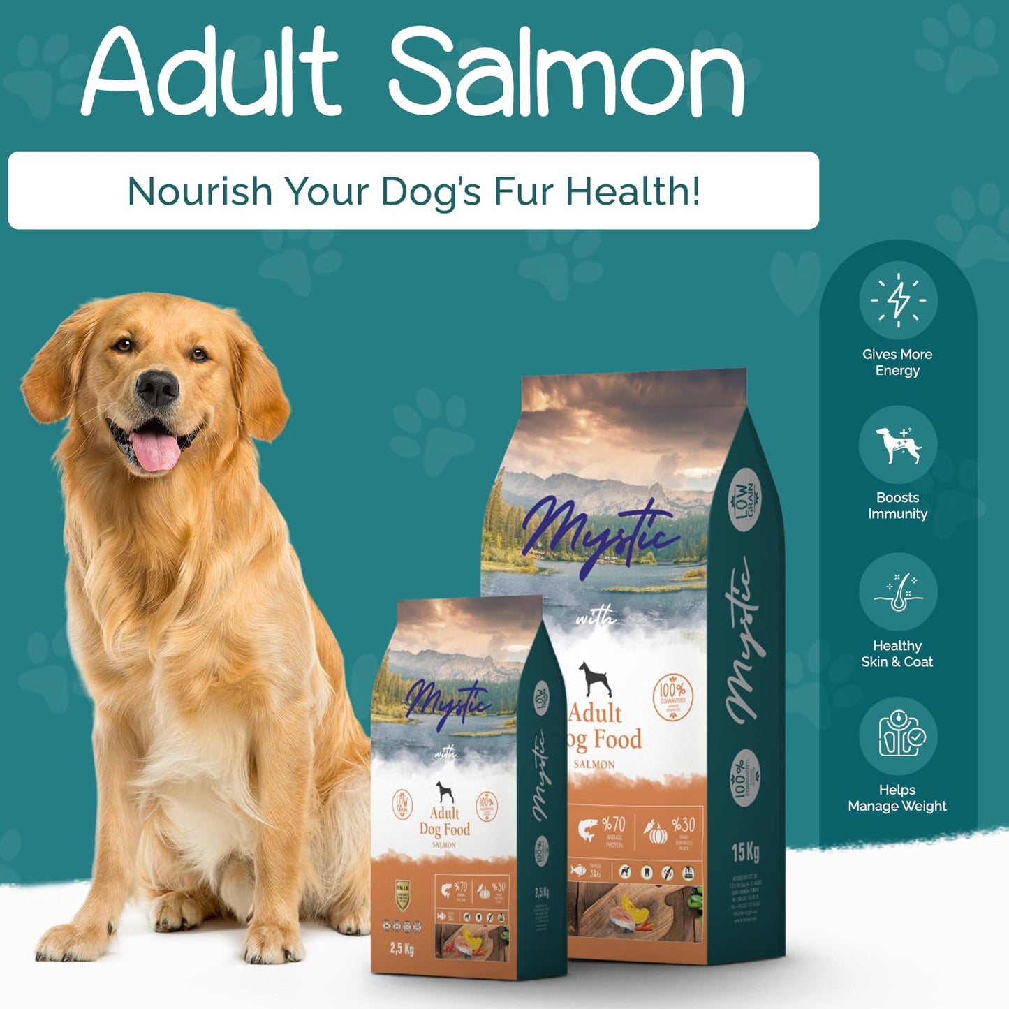 Mystic Adult Salmon Dry Dog Food