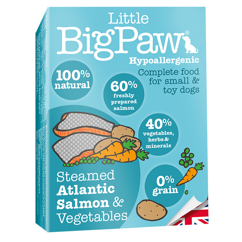 Little Big Paw - Salmon & Vegetable Terrine