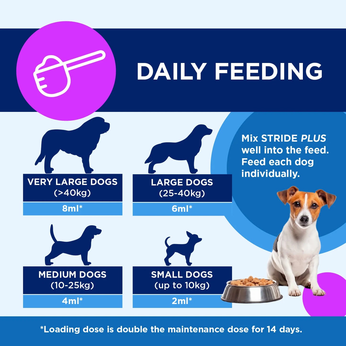 Stride Plus Joint Supplement For Dogs & Cats, 200ml