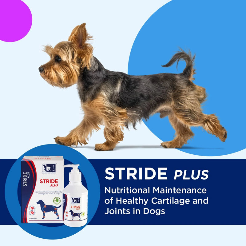 Stride Plus Joint Supplement For Dogs & Cats, 200ml