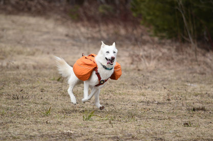 Ruffwear - Approach Pack for dogs -  Campfire Orange