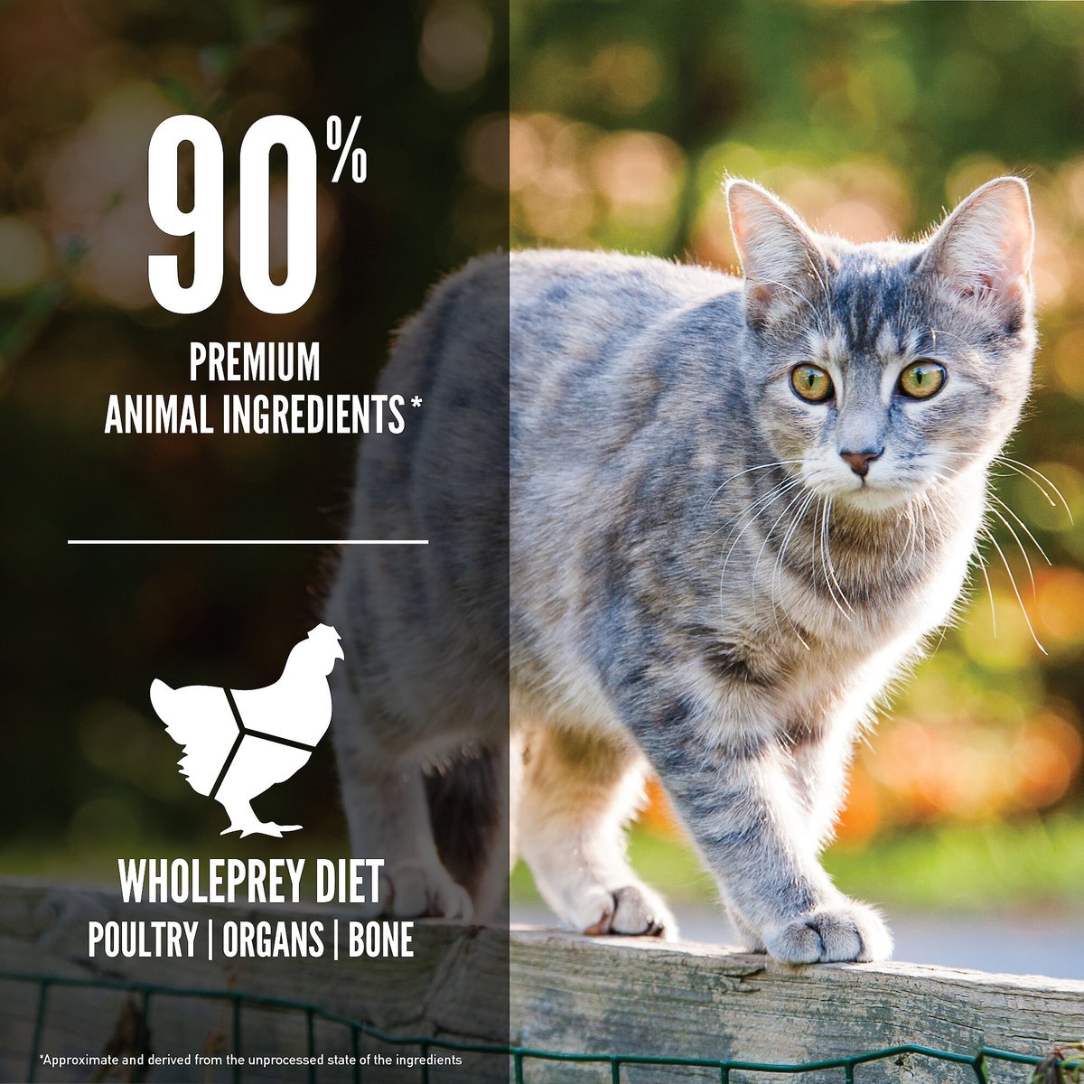 Orijen Original Cat & Kitten Dry Food