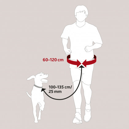 Trixie - Waist Belt with Leash, Large, Black