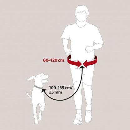Trixie - Waist Belt with Leash, Large, Black