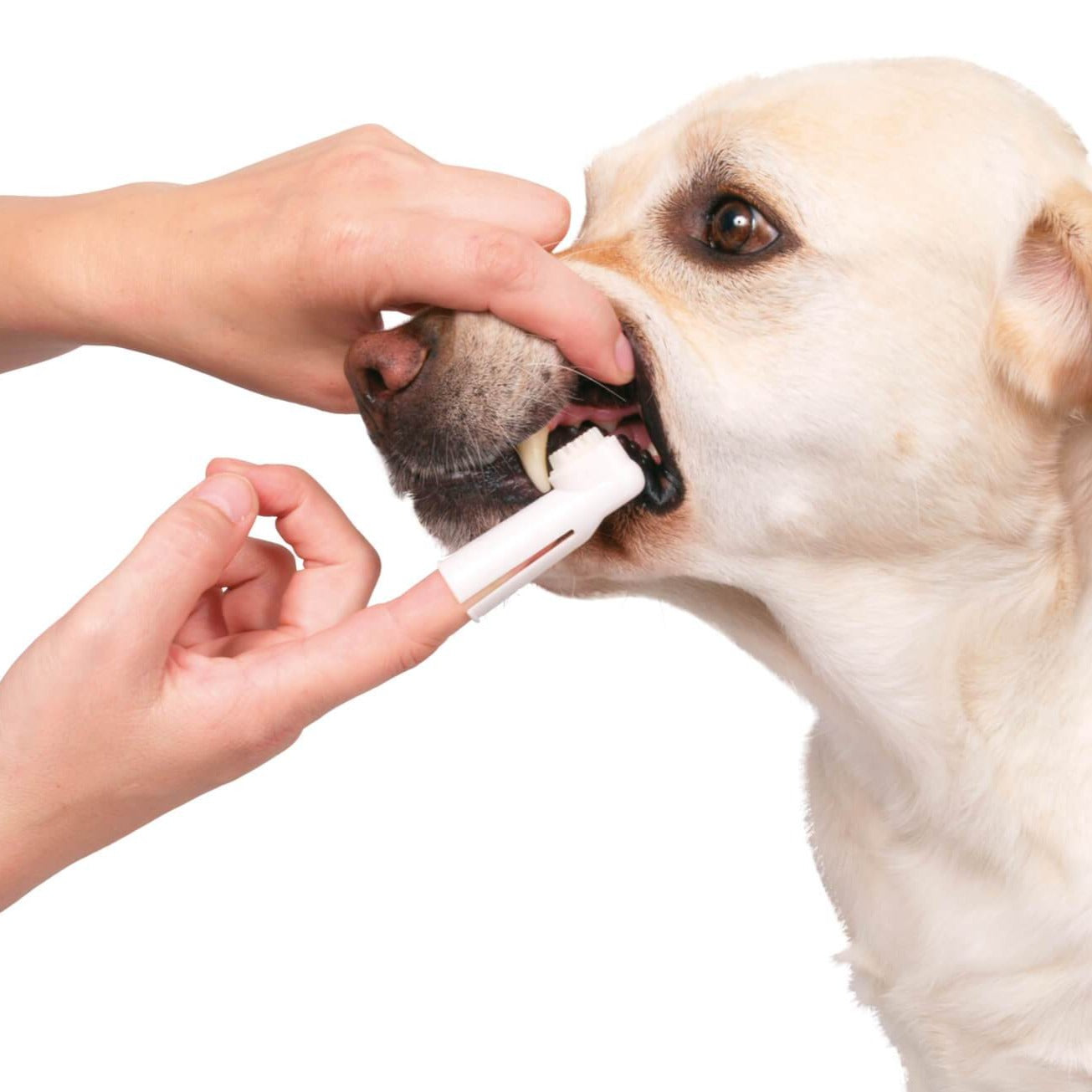 Trixie - Dog Dental Hygiene Kit