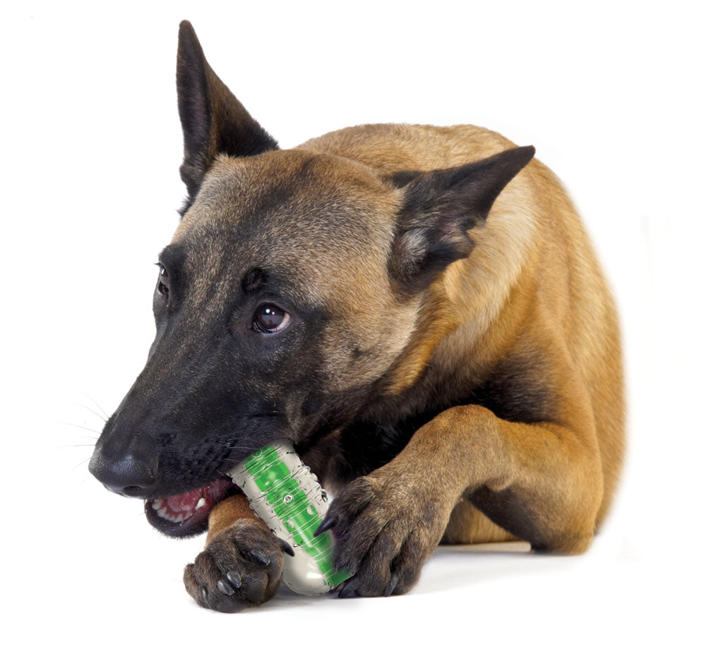 Petstages - Crunchcore Bone