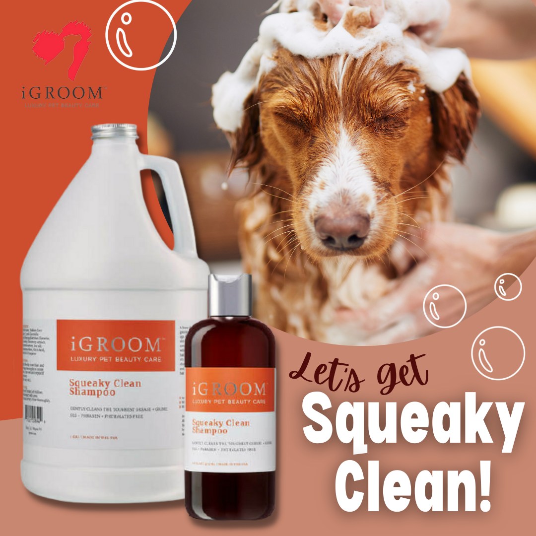 iGroom Squeaky Clean Pet Shampoo
