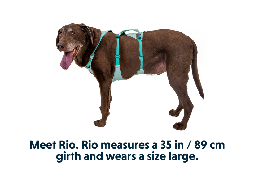 Ruffwear - Flagline Dog Harness with Handle - Sage Green