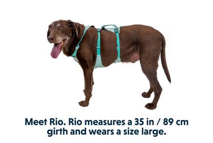 Ruffwear - Flagline Dog Harness with Handle - Sage Green
