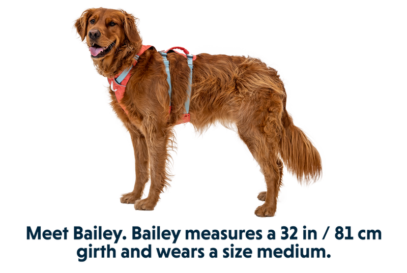Ruffwear - Flagline Dog Harness with Handle - Salmon Pink
