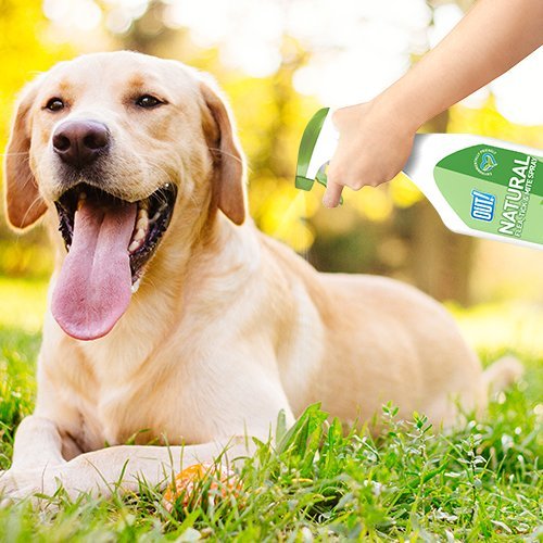 OUT! - Natural Flea & Tick Spray, 500ml