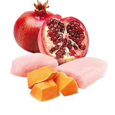 FARMINA - N&D - Pumpkin - Chicken and Pomegranate - Mini Starter - Grain free - Wet Dog Food - 140g