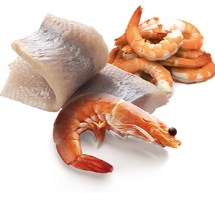 FARMINA - Ocean, Herring and Shrimp, Dog Wet Food, Grain-Free, Adult Mini Breed, 140g