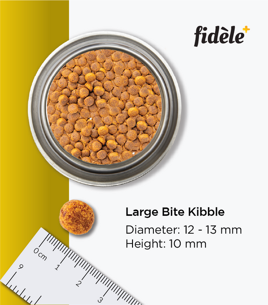 Fidele+ - Large Breed Puppies - Dry Dog Food
