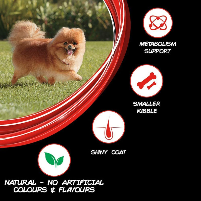 PURINA - SUPERCOAT - Adult Small Breed Dry Dog Food, Chicken, 3 kg