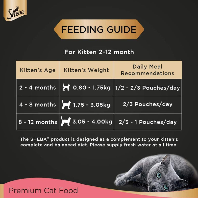 Sheba - Rich Premium Chicken Loaf - Wet Food For Kitten (2-12 Months)- 70 g Pouch