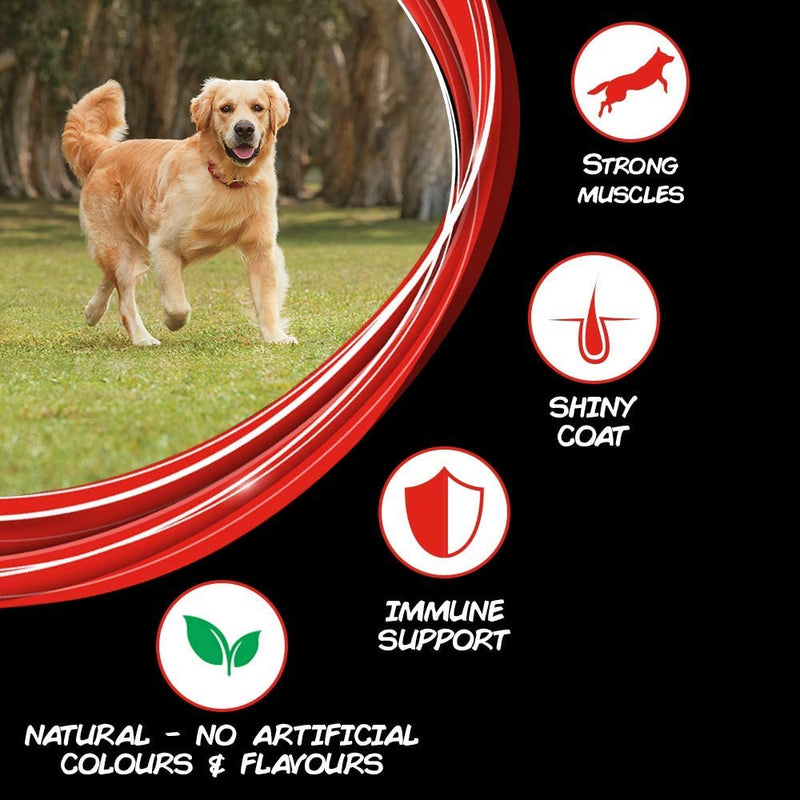 Purina - Supercoat Adult Dry Dog Food with real Chicken