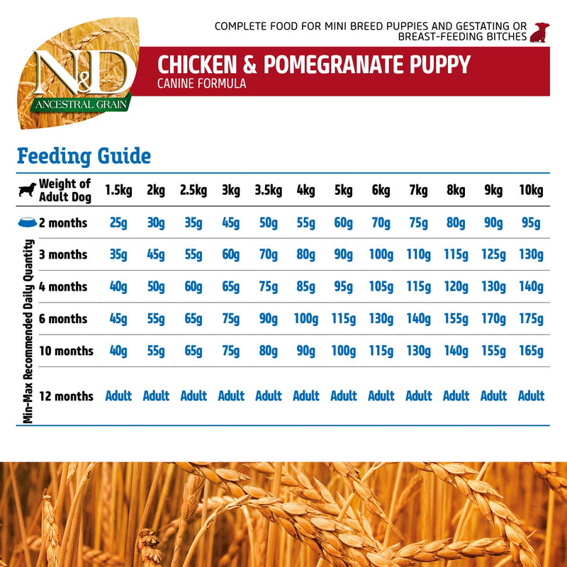 Farmina - N&D - Ancestral Grain - Chicken and Pomegranate - Dry Food - Puppy - Mini Breed