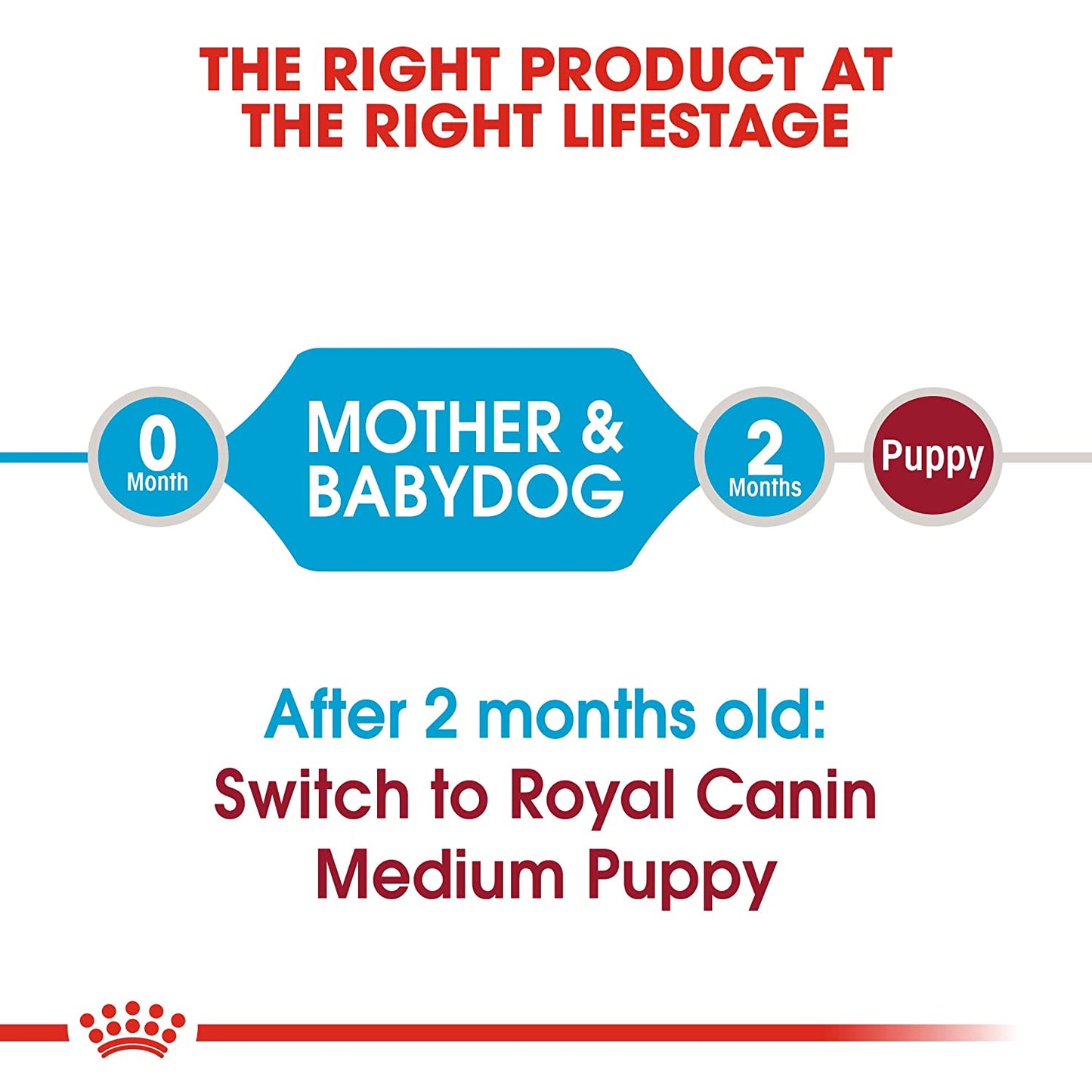 Royal Canin - Medium Starter Dry Dog Food