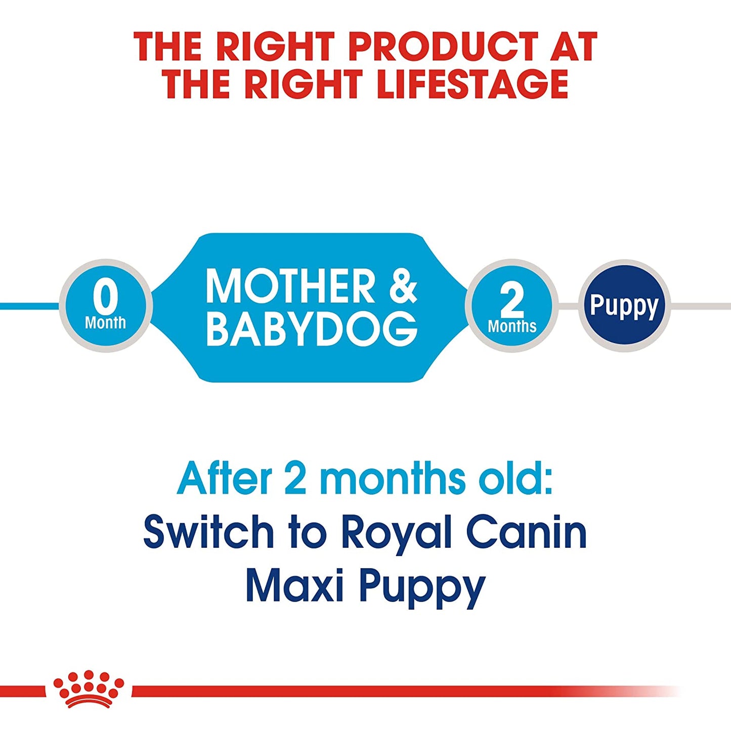 Royal Canin Maxi Starter Dry Dog Food