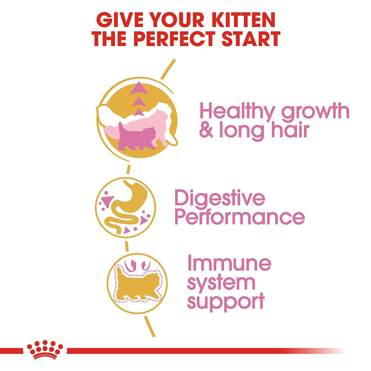 Royal Canin - Persian Kitten