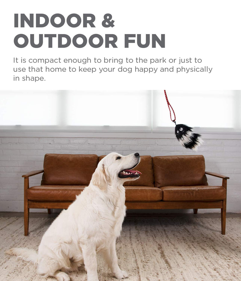 Outward Hound - Tail Teaser with Refill Interactive Dog Toy