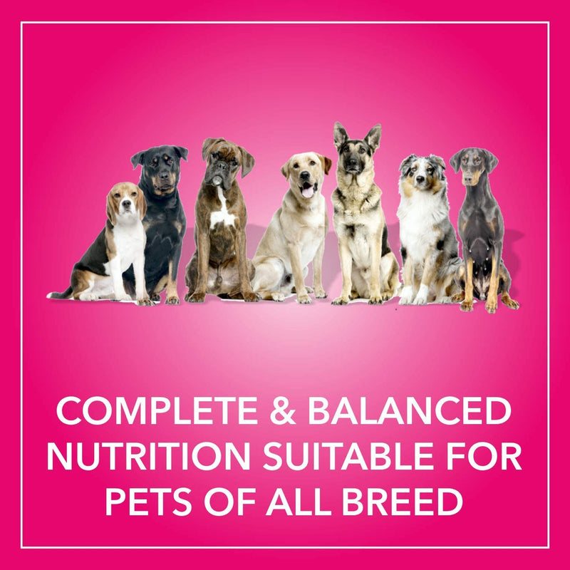 Purepet - Chicken and Milk - Dry Food For Adult Dog