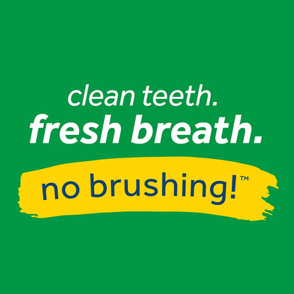 Tropiclean - Fresh Breath Fresh Mint Foam