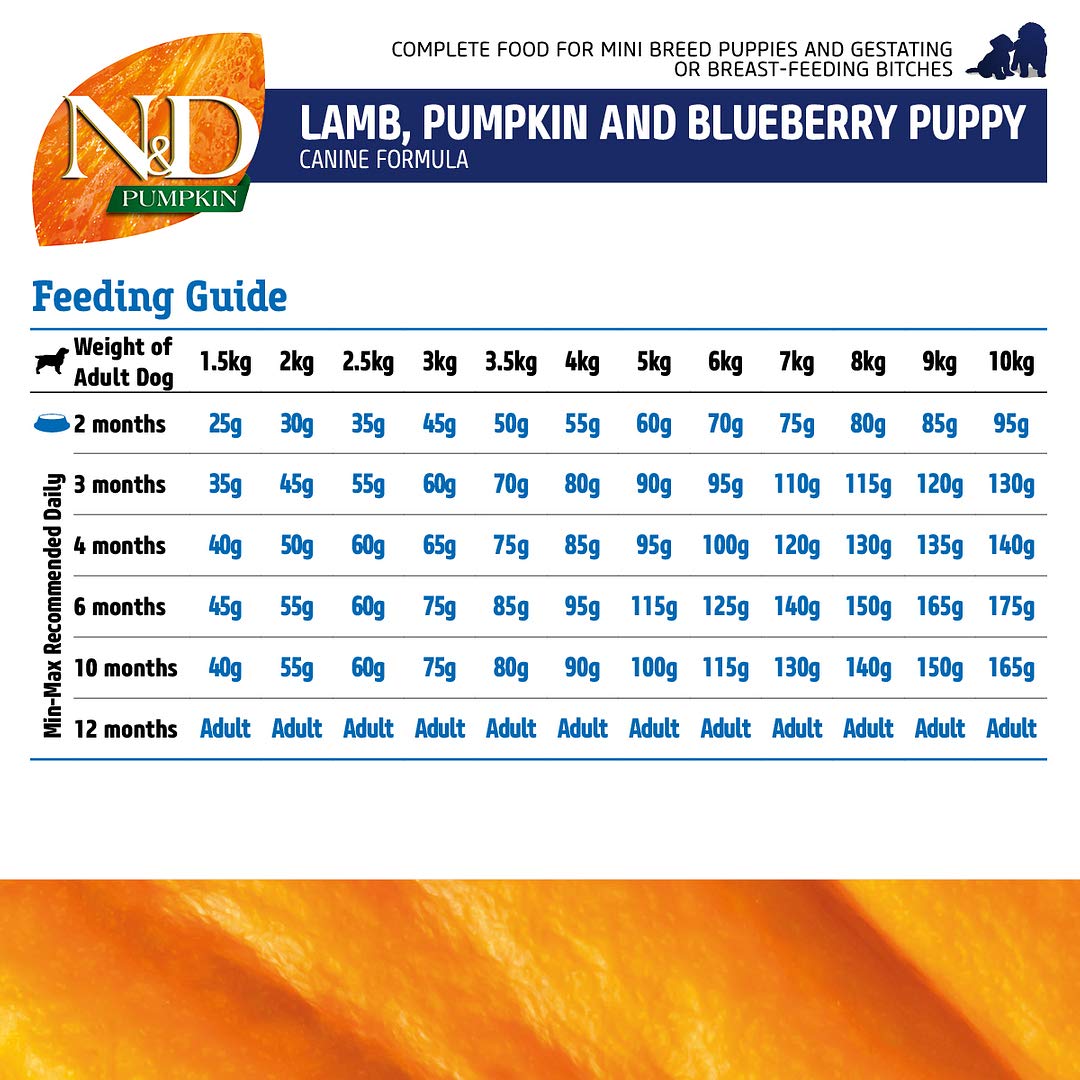 FARMINA - N&D - Pumpkin - Lamb and Blueberry - Dry Dog Food - Grain-Free - Puppy - Mini Breed