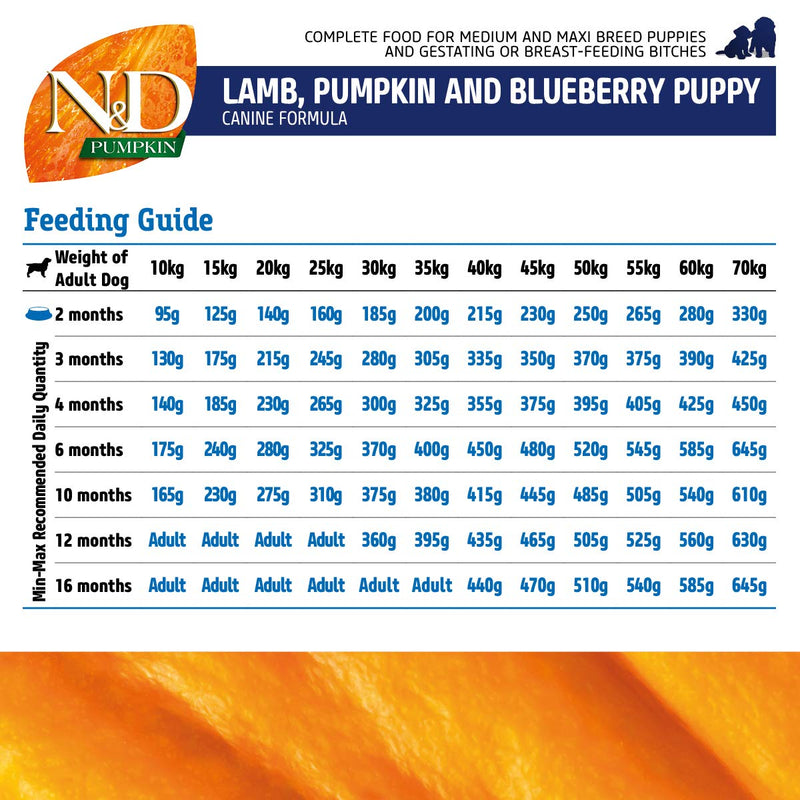 FARMINA - N&D - Pumpkin - Lamb and Blueberry - Dry Dog Food - Grain-Free - Puppy - Medium & Maxi Breed