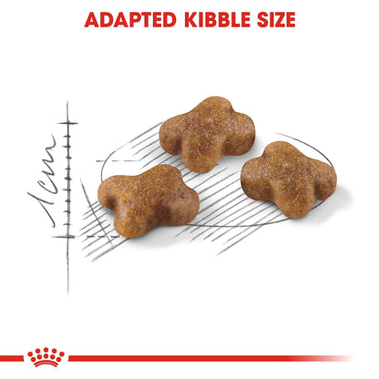 Royal Canin Second Age Kitten food