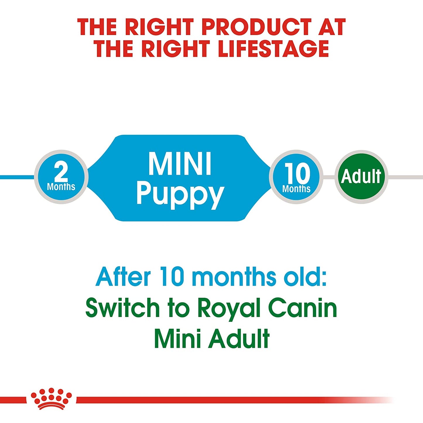 Royal Canin - Mini Puppy/Junior - Dry Dog Food