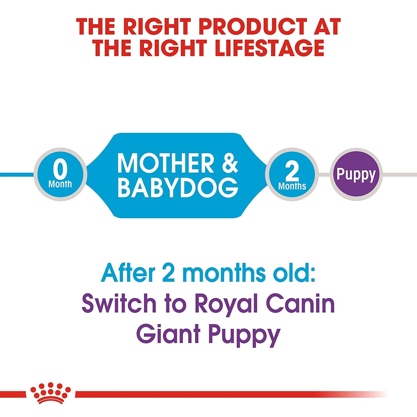 Royal Canin - Giant Starter - Dry Dog Food