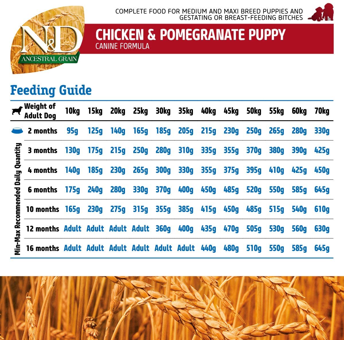 Farmina - N&D - Ancestral Grain - Chicken and Pomegranate - Dry Food - Puppy - Medium and Maxi Breed