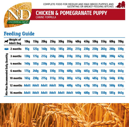 Farmina - N&D - Ancestral Grain - Chicken and Pomegranate - Dry Food - Puppy - Medium and Maxi Breed