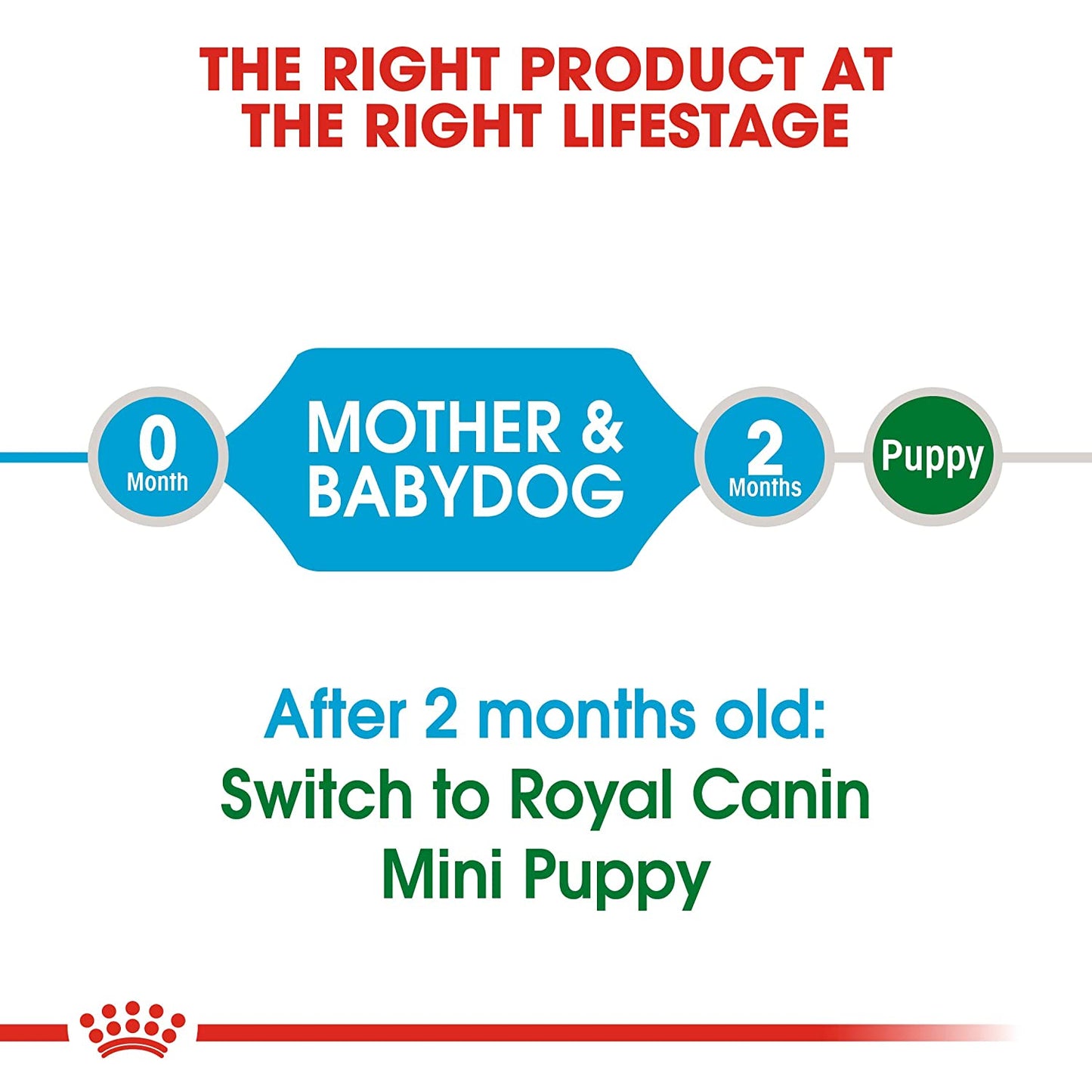 Royal Canin - Mini Starter - Dry Dog Food