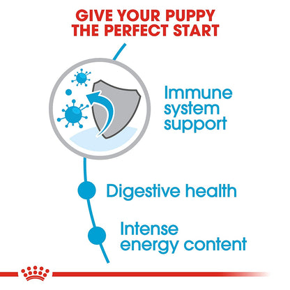 Royal Canin - Mini Puppy/Junior - Dry Dog Food