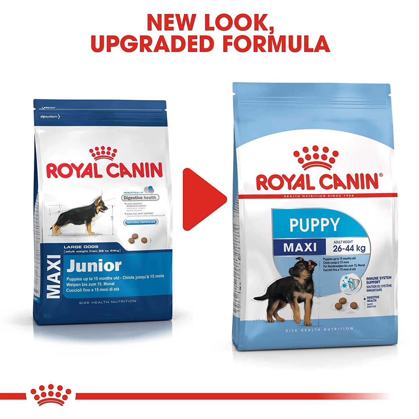 Royal Canin Maxi Puppy Dry Dog food