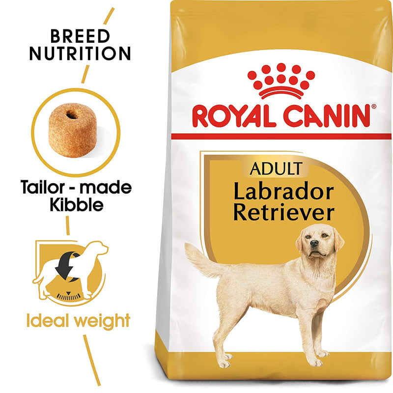 Royal Canin - Labrador Retriever Adult - Dry Dog Food