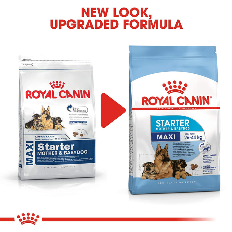 Royal Canin Maxi Starter Dry Dog Food